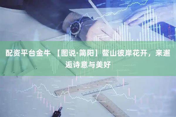 配资平台金牛 【图说·简阳】鳌山彼岸花开，来邂逅诗意与美好